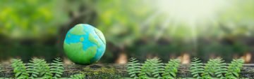 ISO 14001:2026 – Mądrzejsza i bardziej przejrzysta droga do doskonałości środowiskowej